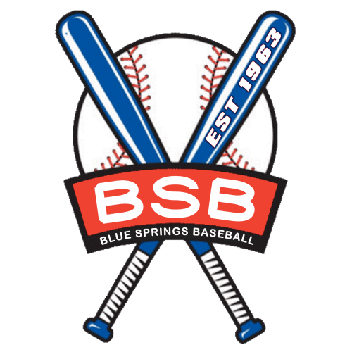 BSB Est 1963 Bold Trans - 500x500